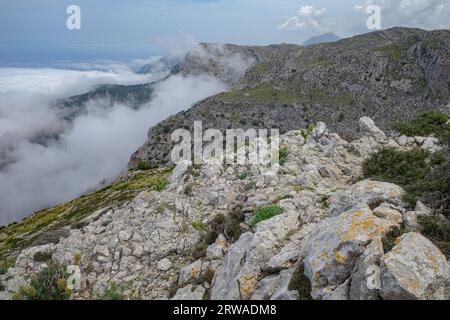 Mallorca, Spanien - 11. Juni 2023: Blick auf das Mittelmeer und die Tramuntana-Berge von Puig Caragoli, Mallorca Stockfoto