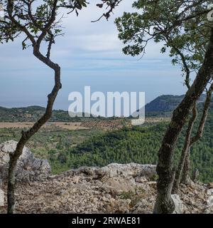 Esporles, Spanien - 11. Juni 2023: Blick auf das Tramuntana-Gebirge vom GR221-Trail, Esporles, Mallorca Stockfoto