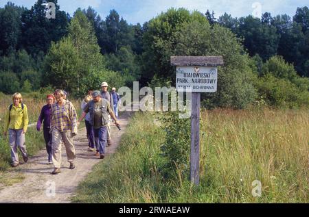 Polen, der Białowieża-Wald ist einer der letzten Urwälder an der Grenze zwischen Belarus und Polen und ein Weltkulturerbe der UNEESCO. Stockfoto