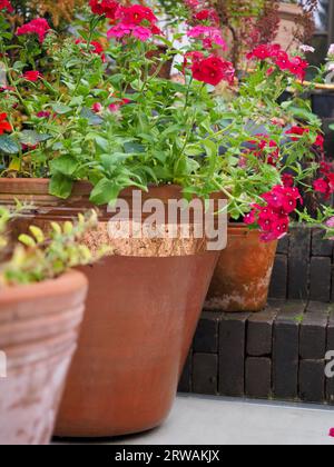 Nahaufnahme eines Terrakotta-Topfes im Garten voller Blumen mit einem Streifen Kupferband um die Oberseite, der als Schnecke und Schneckenabwehr verwendet wird Stockfoto