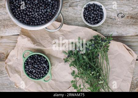 Blick von oben auf frisch gepflückte wilde Blaubeeren und Äste auf einem Tisch, Belarus Stockfoto