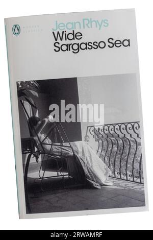 Wide Sargasso Sea Buchcover, ein klassischer postkolonialer Roman von Jean Rhys Stockfoto