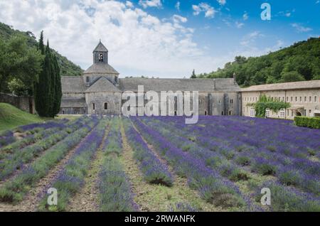 Abbaye Notre-Dame de Sénanque Stockfoto