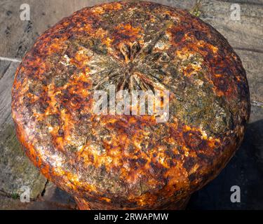 Einer von mehreren reich verzierten viktorianischen Schiffspollern am Nordpier des Hafens Whitehaven, West Cumbria, Großbritannien Stockfoto