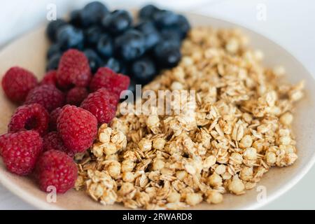 Müsli mit Blaubeeren und Himbeeren, Nahaufnahme. Granola mit Waldbeeren. Gesunde Ernährung. Schüssel Haferflocken, Heidelbeere und Himbeere. Stockfoto