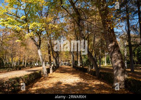 Jardines reale de Aranjuez, Madrid, España Stockfoto