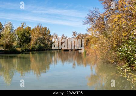 Jardines reale de Aranjuez, Madrid, España Stockfoto