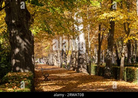 Jardines reale de Aranjuez, Madrid, España Stockfoto