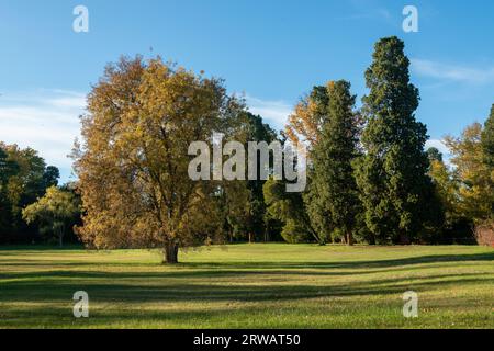 Jardines reale de Aranjuez, Madrid, España Stockfoto