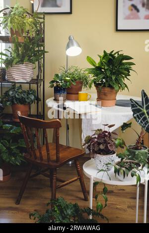 Lesestätte in der Nähe von Zimmerpflanzen. Grüne Entspannungszone im Zimmer mit offenem Buch und Topfblumen. Niemand. Boho-Stil. Umweltfreundliches Design in einem gemütlichen Haus. Stockfoto