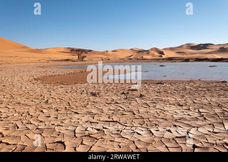 Sahara Wüste Landschaft Stockfoto