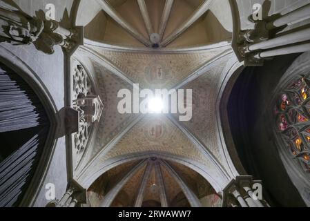 LAUSANNE, SCHWEIZ - 5. AUGUST 2023: Decke des Narthex der Kathedrale Notre Dame Stockfoto