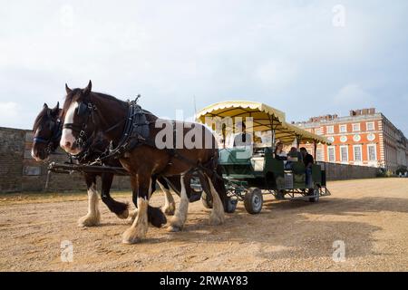 Ein Paar Shire-Pferde, die eine Kutschtouristengruppe von Touristen um das Gelände ziehen (Sir Christopher Wren's Südfront ist im Hintergrund) Hampton Court Palace, London UK (135). Stockfoto