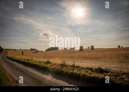 Riesige Heuhaufen auf den Feldern nach der Ernte von Weizen oder Gerste in East Yorkshire, Großbritannien Stockfoto