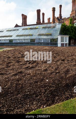 Gewächshaus mit der großen Rebe im Garten des Hampton Court Palace in Richmond upon Thames, London. UK. Es ist die größte Rebe der Welt. Das Wurzelsystem befindet sich außerhalb des Glashauses. (135) Stockfoto