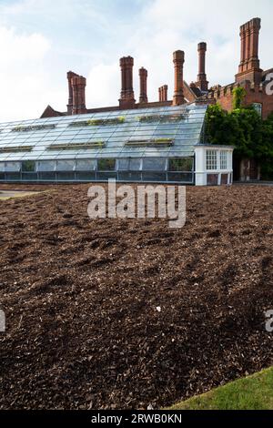 Gewächshaus mit der großen Rebe im Garten des Hampton Court Palace in Richmond upon Thames, London. UK. Es ist die größte Rebe der Welt. Das Wurzelsystem befindet sich außerhalb des Glashauses. (135) Stockfoto