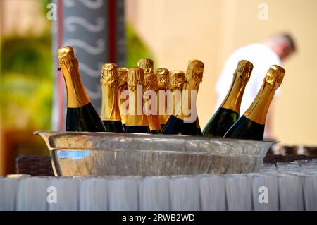 Prickelnder Weißwein in einem Eiskübel, bereit für eine Party Stockfoto