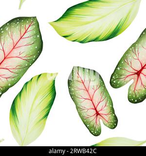 Nahtloses Aquarellmuster mit realistischen tropischen Blättern. Illustration von Monstera, Caladium, Ficus-Blättern isoliert auf weißem Hintergrund. Wunderschönes bo Stockfoto