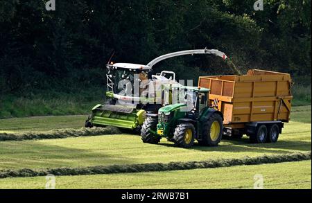 Ein großer grüner Traktor mit einem gelben Anhänger, der von einem Feldhäcksler Claas 870 Jaguar mit Silage auf einem Feld gefüllt wird. Stockfoto