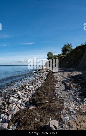 Entlang der Steilküste, am Strand der naturbelassen ist mit viel Gestein, Seetank und Sand Paralleldie Ostsee. Oben auf der Steilküste stehen in der Stockfoto