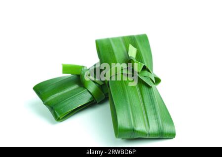 (Pandanus amaryllifolius) frische grüne Pandanblätter isoliert auf weißem Hintergrund gefaltet und gebunden. Natürliche Kräuterpflanzen mit einem duftenden Geruch. Stockfoto