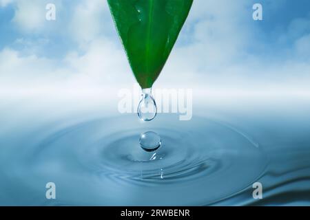 Ein Wassertropfen, der von einem grünen Blatt in ein ruhiges Gewässer fällt und Wellen und Spritzer erzeugt Stockfoto