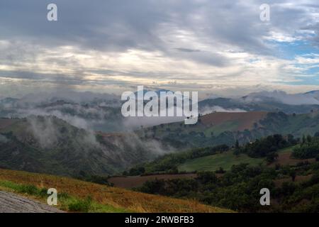 mattina nebbiosa sulle colline del Montefeltro Stockfoto