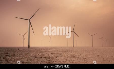 Offshore-Windpark auf See. Gruppe von Windturbinen im IJsselmeer See unter bewölktem Sonnenuntergang. Windenergie ist zu einer der billigsten Formen von e geworden Stockfoto