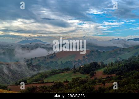 mattina nebbiosa sulle colline del Montefeltro Stockfoto