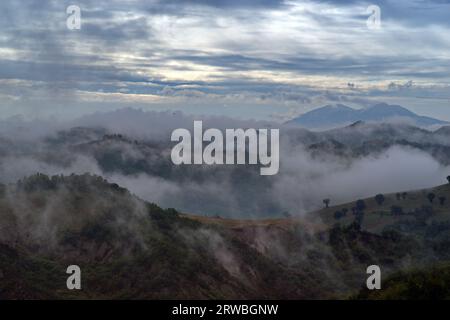 mattina nebbiosa sulle colline del Montefeltro Stockfoto