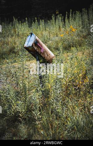 Verrostete alte verwitterte verlassene Briefkästen im Land, inmitten von bewachsenen Wildblumenfeldern. Einsame Stimmung von Verfall, Traurigkeit, Altern. Entsättigte Farben. Stockfoto