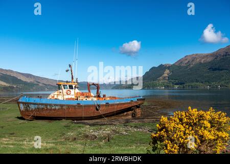 Altes Fischerboot am Ufer des Loch Duich in der Nähe von Ratagan und Glen Shiel in Schottland Stockfoto