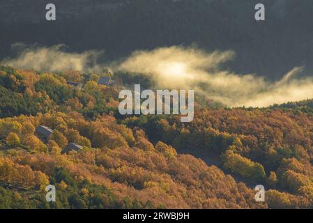 Sonnenaufgang und erstes Licht im Vall de Lord Valley, mit Herbstfarben (Solsonès, Lleida, Katalonien, Spanien, Pyrenäen) Stockfoto