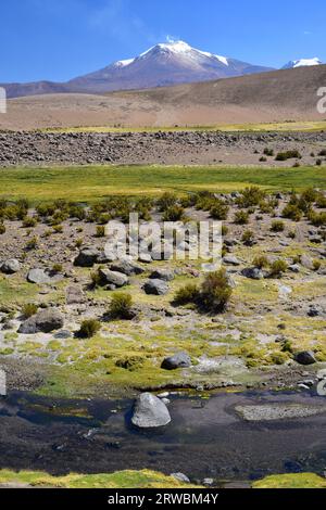 Vulkan Guallatiri mit Fumarolen. Im Vordergrund Lauca River. Nationalpark Lauca, Norte Grande de Chile. Stockfoto