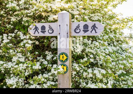 Auf dem Wanderweg folgen Sie dem Wales Coast Path und dem Pembrokeshire Coast Path (Eichel) in Little Haven im Pembrokeshire Coast National Park, West Wales Stockfoto