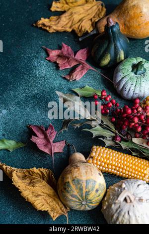 Draufsicht auf leeren dunkelgrünen Hintergrund mit Linie und getrockneten Blättern von zusammengesetzten bunten Kürbissen für die Herbstsaison Stockfoto