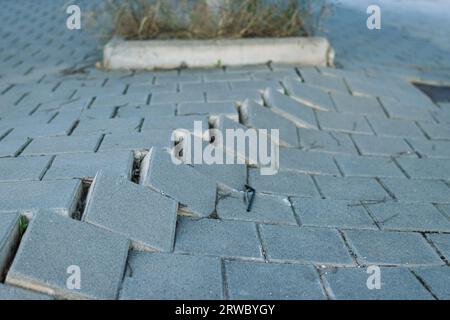 Beschädigte graue Pflasterplatten in einem Park, Nahaufnahme mit Platz für eine Inschrift Stockfoto