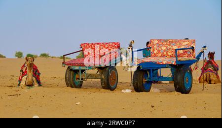 Kamelwagen für Wüstensafari Stockfoto