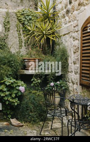 Schöner Hof mit Pflanzen in der Altstadt von Dubrovnik, Kroatien. Reiseziel in Kroatien. Stockfoto