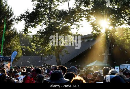 Felton, USA. September 2023. Atmosphäre während des Mountain Sol Festivals 2023 am 17. September 2023 in Felton, Kalifornien. Foto: Casey Flanigan/imageSPACE/SIPA USA Credit: SIPA USA/Alamy Live News Stockfoto