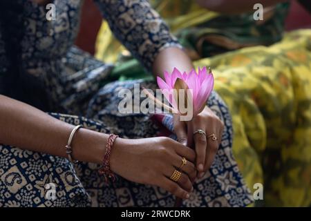 Frauenhände, die schöne Lotusblume halten, Hand, die rosa Lotusblume auf schwarzem Hintergrund hält Stockfoto