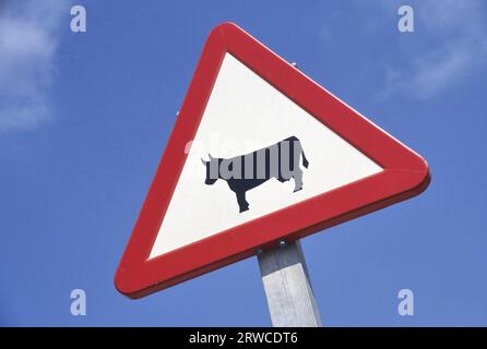 Verkehrszeichen, das vor Haustieren wie Kühen auf der Straße warnt Stockfoto