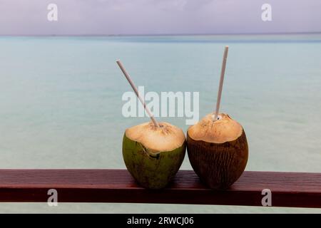 Zwei Kokosnüsse zusammen auf den Malediven Urlaub klares blaues Wasser im Hintergrund Stockfoto