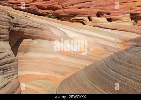 Rosafarbene Klippen im Pink Canyon - Valley of Fire State Park, Nevada Stockfoto