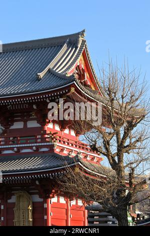 Das malerische Viertel des Sensoji-Tempels in Asakusa während der Kirschblüten-Saison, Tokyo JP Stockfoto