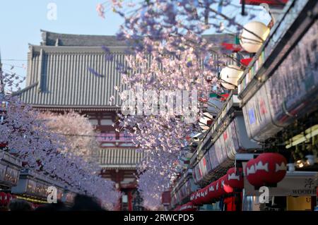 Das malerische Viertel des Sensoji-Tempels in Asakusa während der Kirschblüten-Saison, Tokyo JP Stockfoto