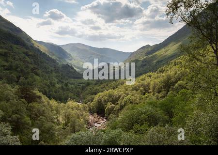 Blick nach Westen auf Glen Nevis vom Wanderweg entlang des Berges mit Blick auf das Wasser von Nevis, das sich durch das Laubwaldland unten windet Stockfoto