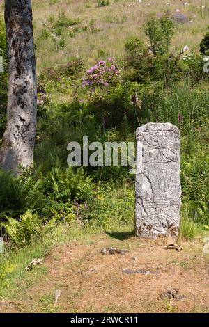 Ein verwitterter piktischer stehender Stein auf Raasay in den Inneren Hebriden, mit mehreren geschnitzten Symbolen, darunter das Chi-RO-Kreuz oben Stockfoto