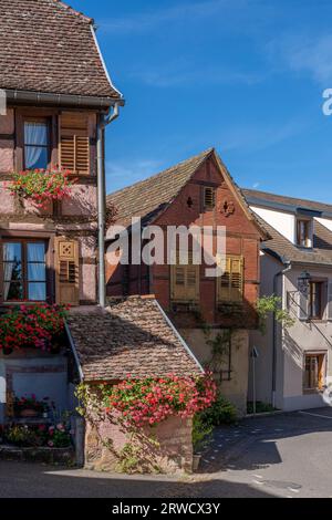 Hunawihr, Frankreich - 09 04 2023: Blick auf die Fassade eines typischen rosa Hauses mit Blumen Stockfoto