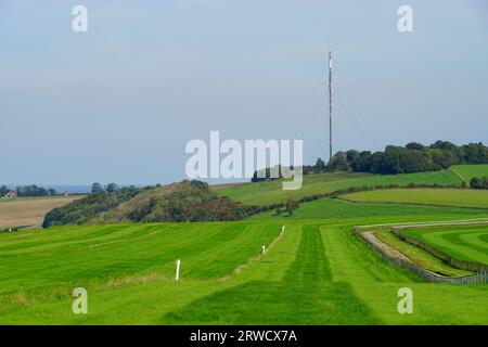 Blick auf den Hannington Sendemast auf Cottington's Hill von den Trainingsgaloppen auf dem Wappen von Watership Down Stockfoto